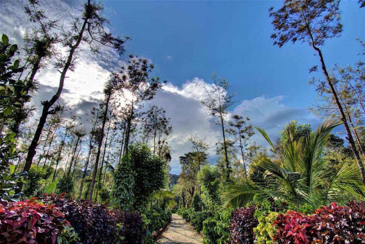 Coorg Bliss Estate Stay Madikeri Luaran gambar